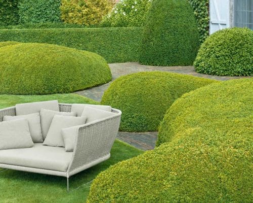 AMI 02<br /> Paola Lenti